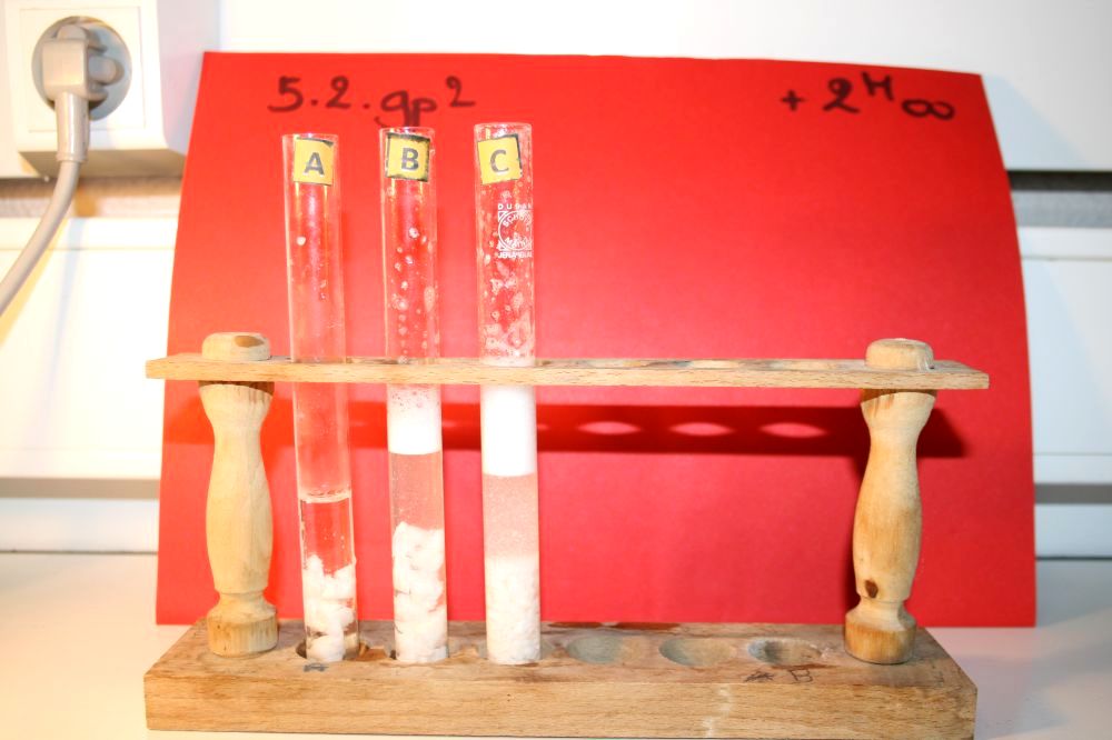 gal/LES_CINQUIEMES/ACTIVITE DIGESTION IN VITRO/Groupe_02/Groupe02_T_02h00min/Groupe02_temps02H00min_23.jpg